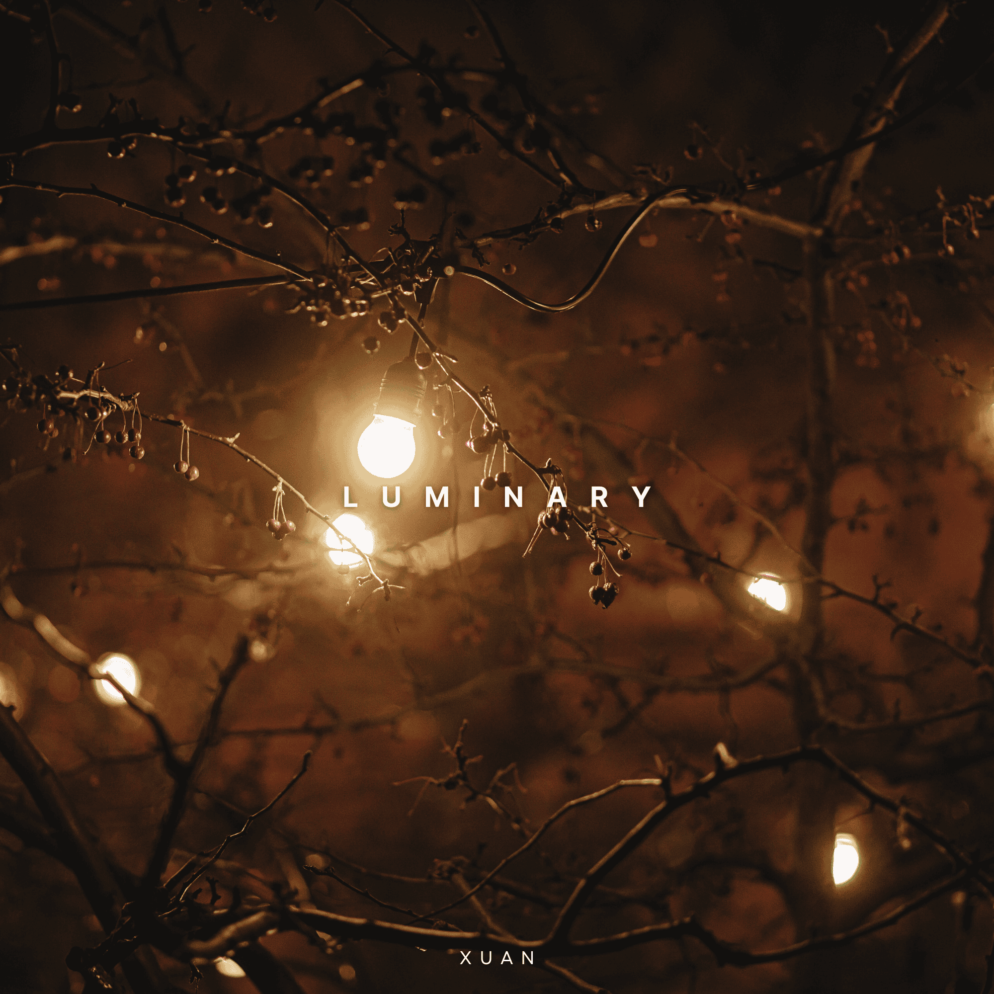 Sheet Music Luminary by Xuan